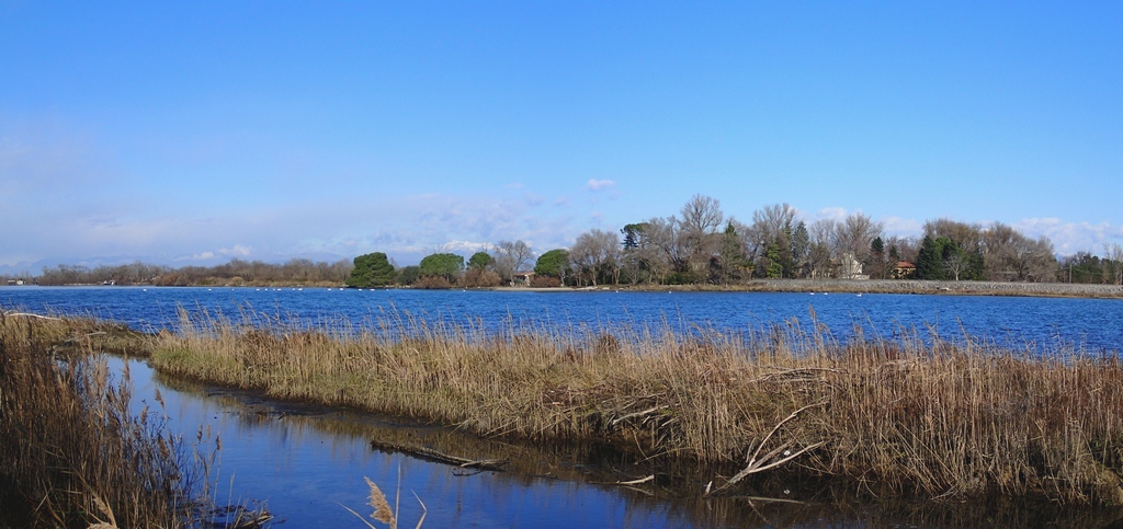 Oggi all''isola della Cona